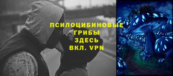 прущие грибы Вяземский