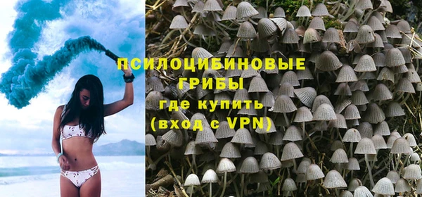 прущие грибы Вяземский