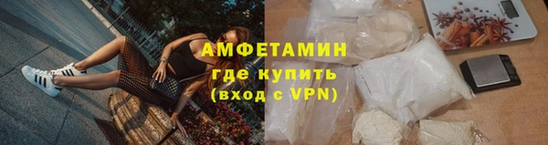 прущие грибы Вяземский