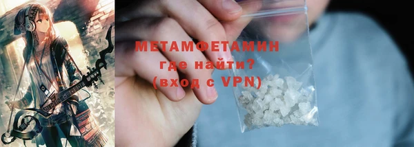 прущие грибы Вяземский