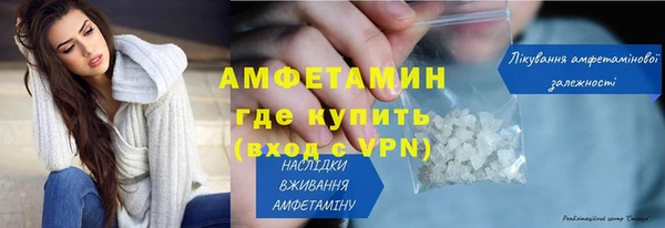 прущие грибы Вяземский