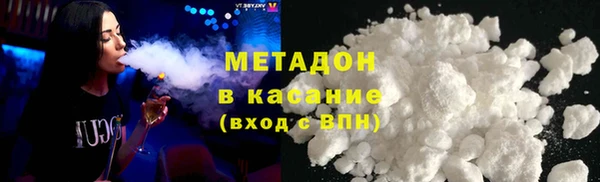 прущие грибы Вяземский