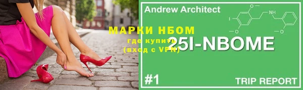 прущие грибы Вяземский