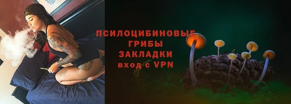 прущие грибы Вяземский