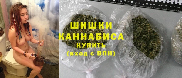 прущие грибы Вяземский