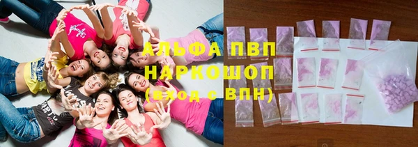 прущие грибы Вяземский