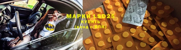 прущие грибы Вяземский