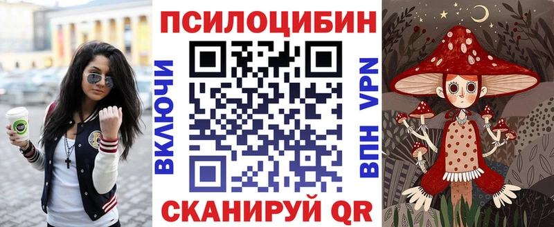 Псилоцибиновые грибы Cubensis  Купить  Лагань 
